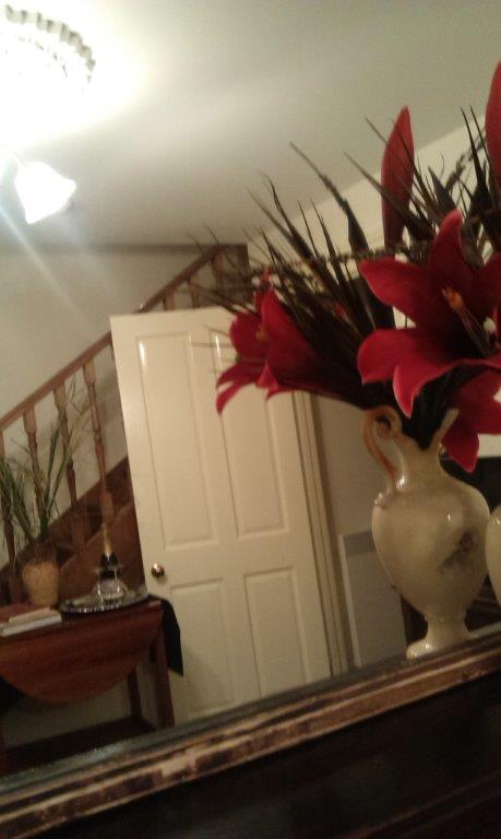 Annies Garden Cottage Hobart Quarto foto